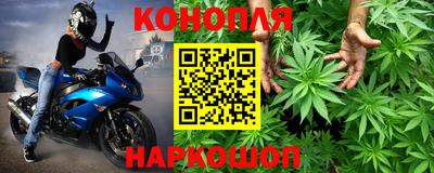 jwh Аргун