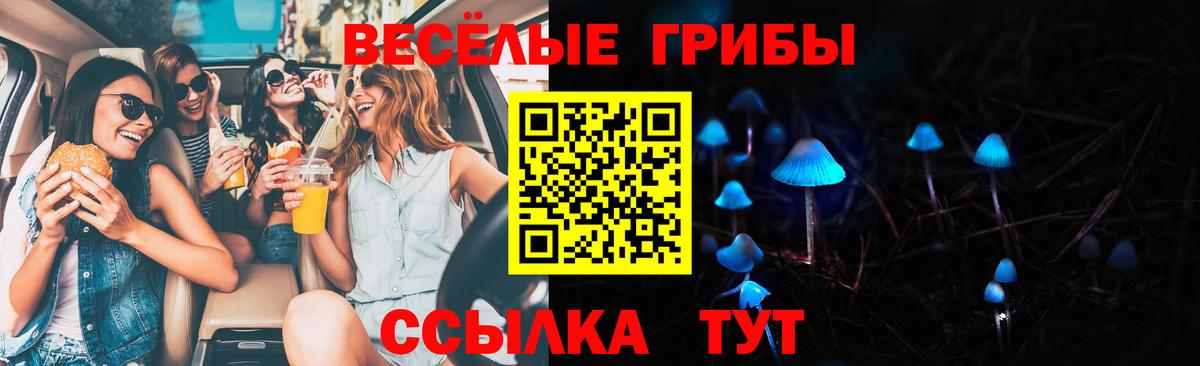 Псилоцибиновые грибы Cubensis  Вход с VPN  Богородск  купить закладку  Галлюциногенные грибы Psilocybe 